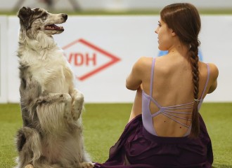 Informationen zum ersten Dog Dancing Turnier Karlsruhe mit Qualifikation zur Europameisterschaft und Crufts 2025